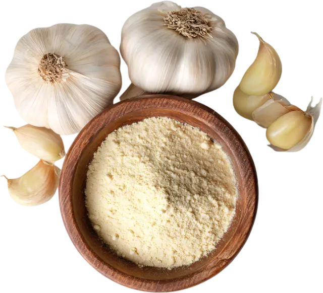 GARLIC POWDER